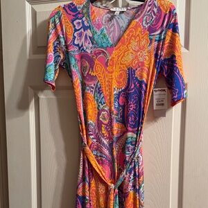 Chaus Multicolor Paisley Dress
